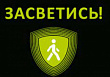 На территории Московской области проводится социальный раунд «Засветись»